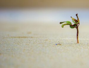 stress coaching Amsterdam en Burn out coach Amsterdam
